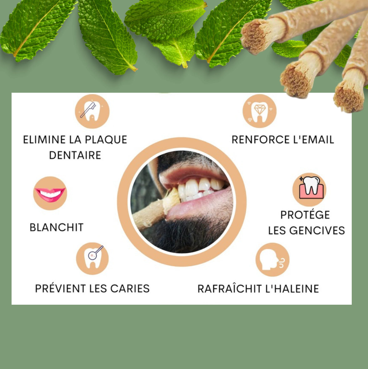 BÂTON DE SIWAK (BROSSE À DENTS NATURELLE MISWAK)